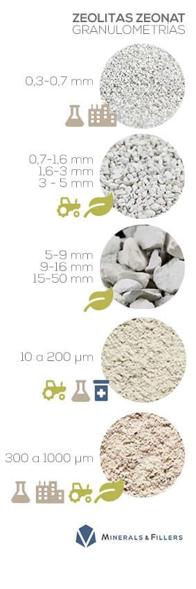 Zeolitas. Zeonat. Granulometrías. Minerals- Fillers