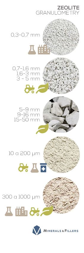 Zeolite. Granulometry. Mineralsfillers